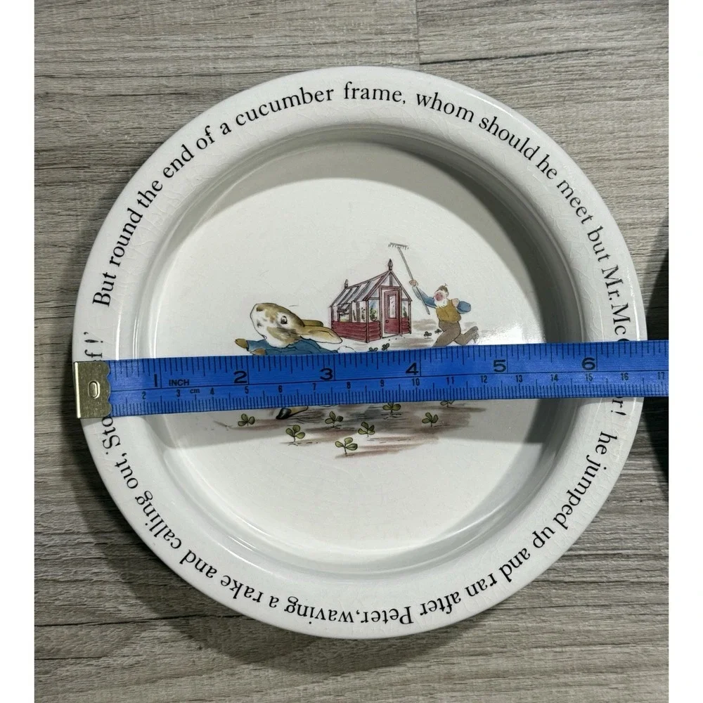 Set of 2 Wedgwood Peter Rabbit Plate 8